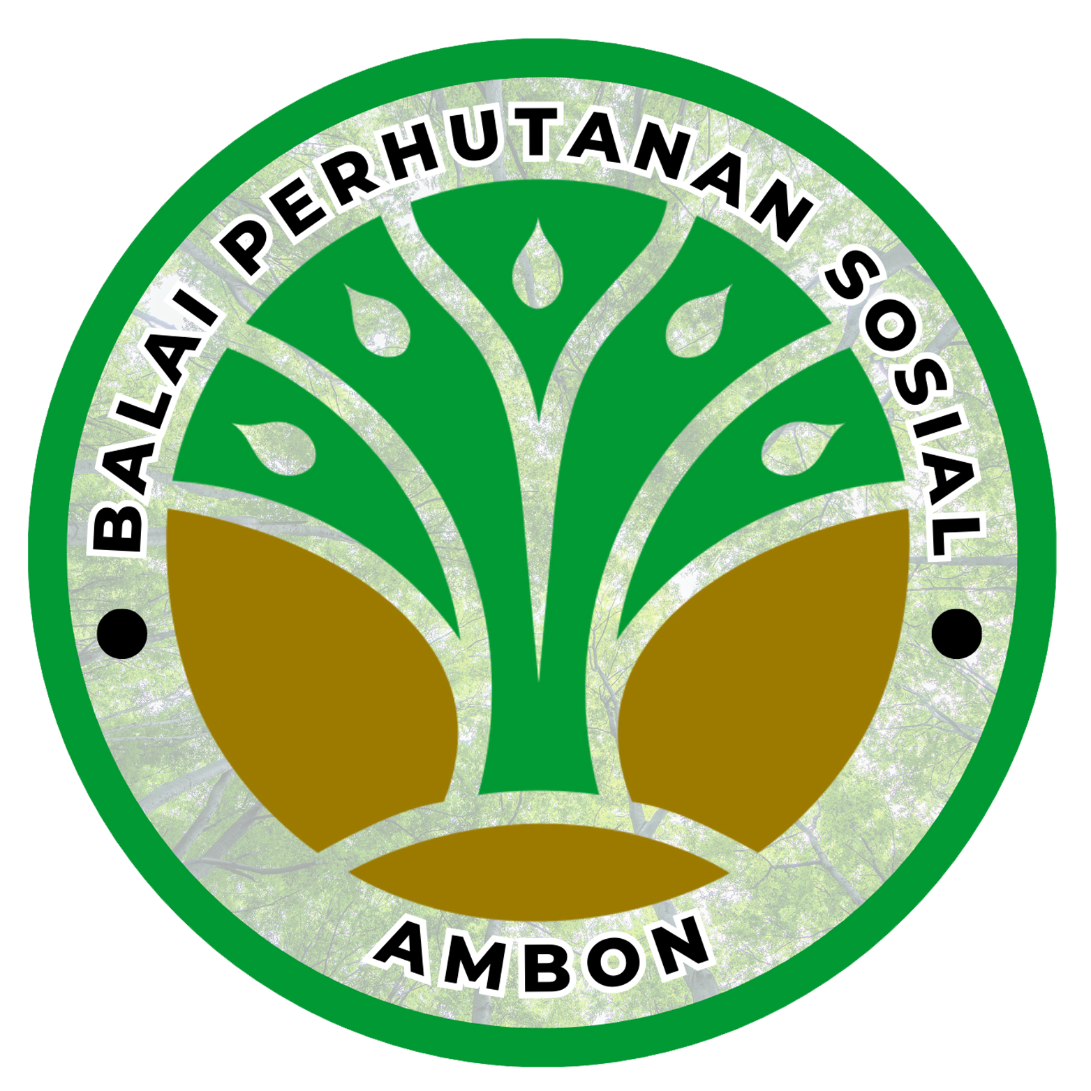 Balai Perhutanan Sosial Ambon bpsambon.com